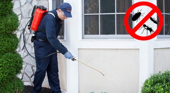 Çay Dezenfeksiyon böcek ilaçlama ve haşere kontrolü — ilaclama-tr.com